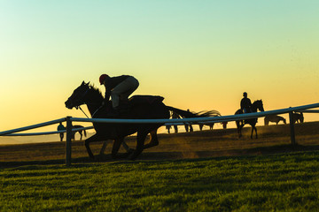 Race Horse Rider Training Track Landscape Morning 