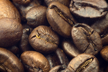 Coffee close-up in sunlight