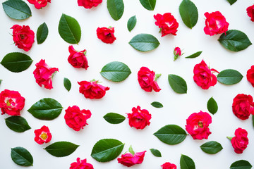 pattern of red small roses and leaves on a white background