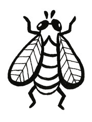 Hand drawn beetle illustration watercolor spring