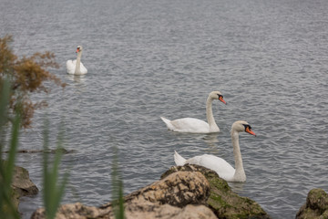 Crédit photo: Quentin Chevrieux