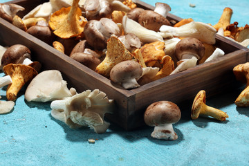 Wicker tray with variety of raw mushrooms on table.