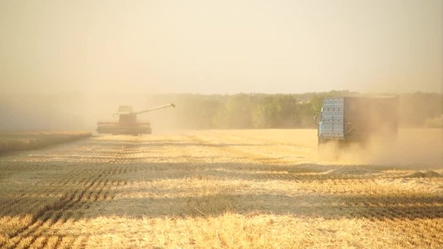 Harvesting of wheat. Combine harvesters at work. The truck rides on the field. Slow motion