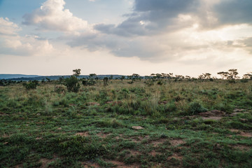Obraz premium Sonnenuntergang, Marakele, Nylstroom, Limpopo, Südafrika, Afrika