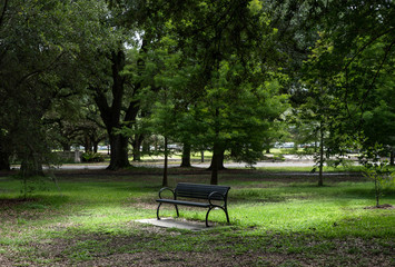 peaceful park bench is waiting for your break