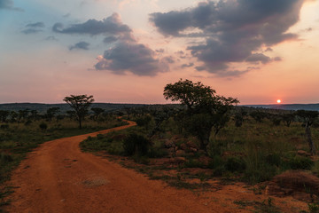 Sonnenuntergang, Marakele, Nylstroom, Limpopo, Südafrika, Afrika
