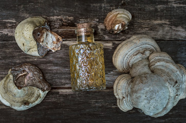 Chaga (shelf fungus) mushroom medicinal tincture on wooden background. Naturopathy. Alternative medicine.