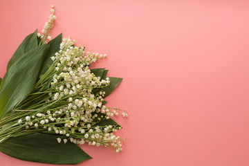 Convallária  lilies-of-the-valley white on a pink background