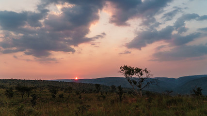 Fototapeta na wymiar Sonnenuntergang, Marakele, Nylstroom, Limpopo, Südafrika, Afrika