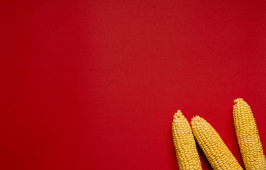 corn healthy vegetarian food red background © natalysavina