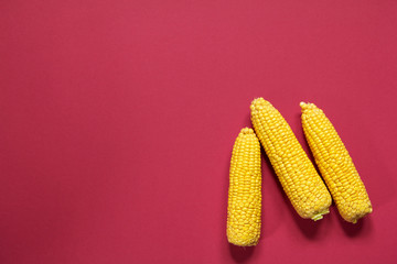  Raw corn pink background. Natural healthy food, vegetarian food.