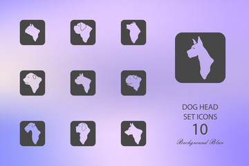 Dog head. Set of flat icons on blurred background