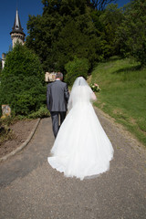 Fototapeta na wymiar back view of wedding couple bride and groom
