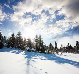 Obraz premium Winter day in mountains