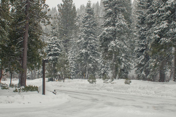 Snowy Road