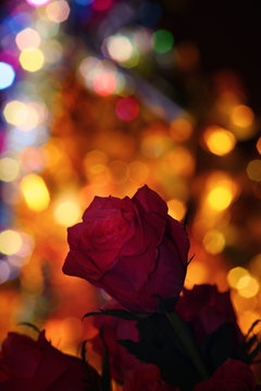 Pink Rose Gold Bokeh