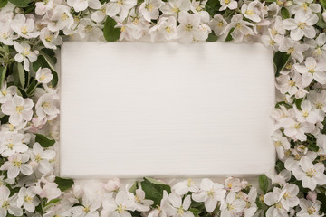  Spring flowers frame on wooden background 
