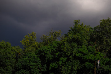 Background of dark storm sky with tree crowns.