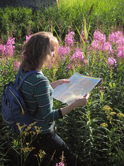 Woman tourist with a map in the thickets of Ivan-tea. 