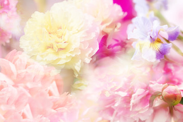 Spring background with flowers. Pastel color is a blurry style. Illustration.