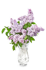 Bouquet of lilac lilacs in a crystal vase on a white 

background.
