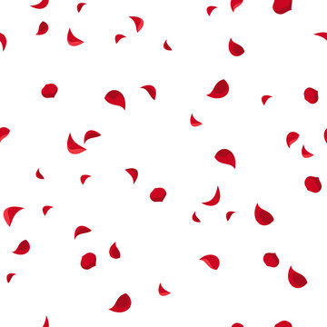 Vector seamless pattern with red rose petals on white. 