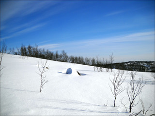 winter landscape