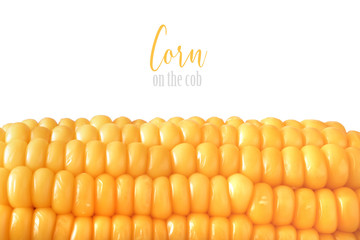 Close-up on oiled corn on the cob isolated on white, text space