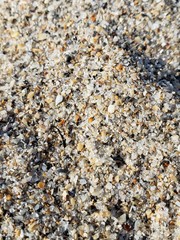 Beach Sand