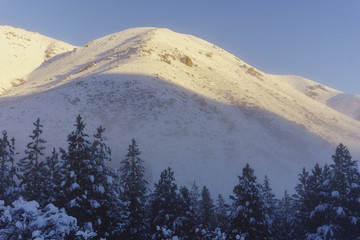 Alpenglow over the snowcapped mountains