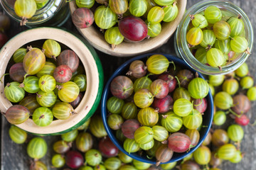 Fresh gooseberries in a clay bowl 