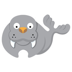 Illustration representing icon mascot walrus. Ideal for veterinary materials, biology and zoology
