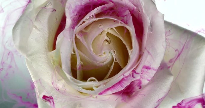 Top view of colorful drop falling on a beautiful spinning flower.