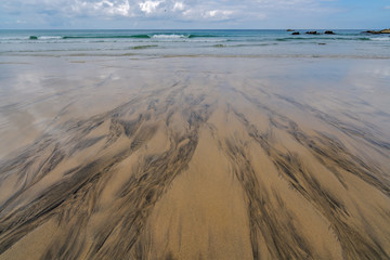 Black patterns on the beach sand