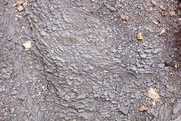 Close Up of Eroded Grey Shale Rock Face