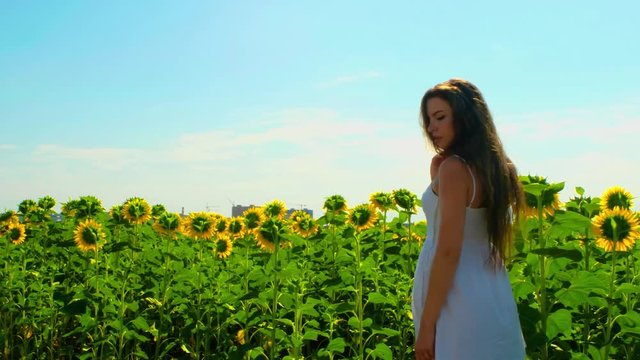 Close-up cute young woman with long brown hair and in white summer sundress walks on pictorial field with beautiful sunflowers under boundless blue sky on bright sunny day