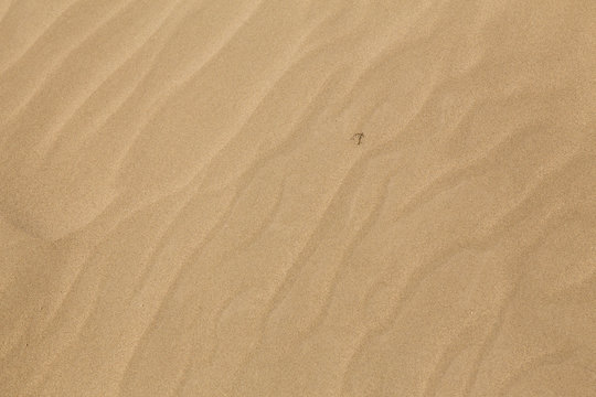 Sands, Sistan and Baluchistan, Iran