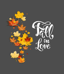 Fall leaves on dark background