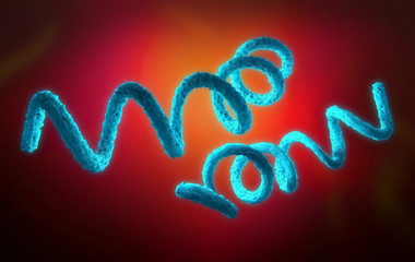 Fototapeta premium 3d illustration of a syphilis pathogen