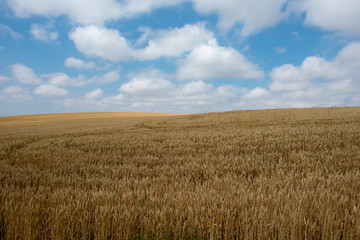 Camino de Santiago as it passes through Navarra