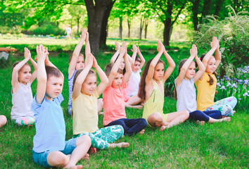 Fototapeta premium A large group of children engaged in yoga in the Park sitting on the grass.