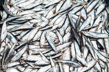 Fish sprats at the fish market. Fresh organic fish.