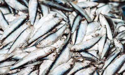 Fish sprats at the fish market. Fresh organic fish.