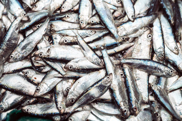 Fish sprats at the fish market. Fresh organic fish.
