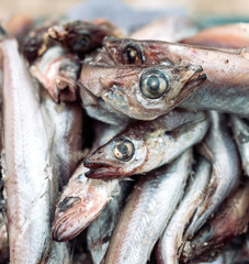 rotten fish on the market.