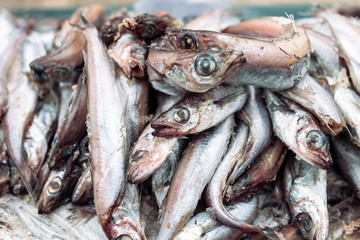 rotten fish on the market.