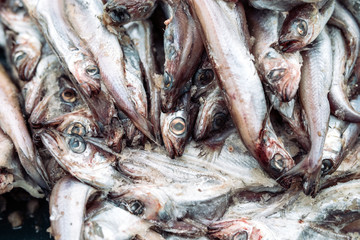 rotten fish on the market.