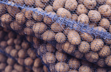 A bag of raw and dirty potatoes. Fresh potatoes close-up in a grid.