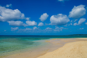 Fototapeta premium 海 z Okinawy