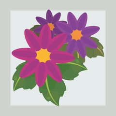 Beautiful flowers with leaves over gray background, colorful design. vector illustration